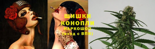 ПСИЛОЦИБИНОВЫЕ ГРИБЫ Заволжье