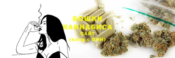 ПСИЛОЦИБИНОВЫЕ ГРИБЫ Заволжье