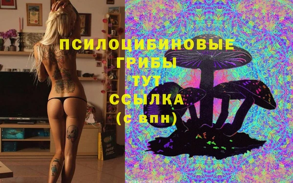 ПСИЛОЦИБИНОВЫЕ ГРИБЫ Заволжье