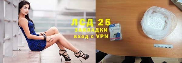 ПСИЛОЦИБИНОВЫЕ ГРИБЫ Заволжье
