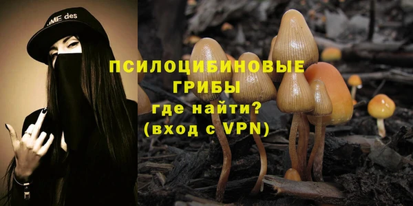 герыч Заводоуковск