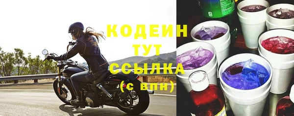 ПСИЛОЦИБИНОВЫЕ ГРИБЫ Заволжье